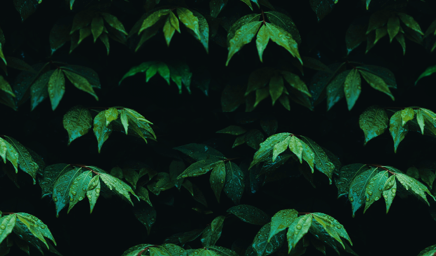 Immagine delle evento: Test slot metaverso